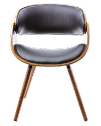 Image Chair 1